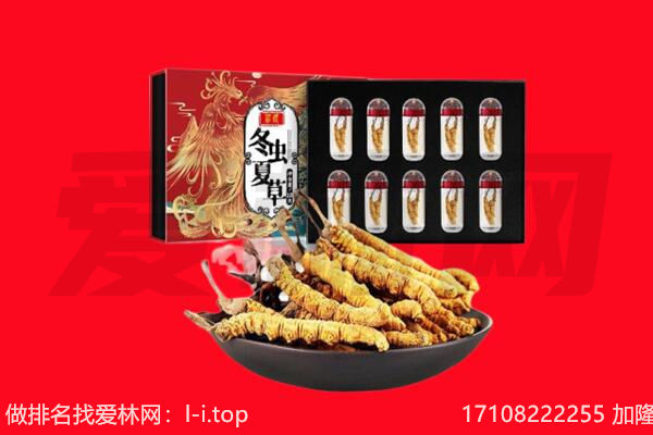 昭通大关县回收虫草.jpg